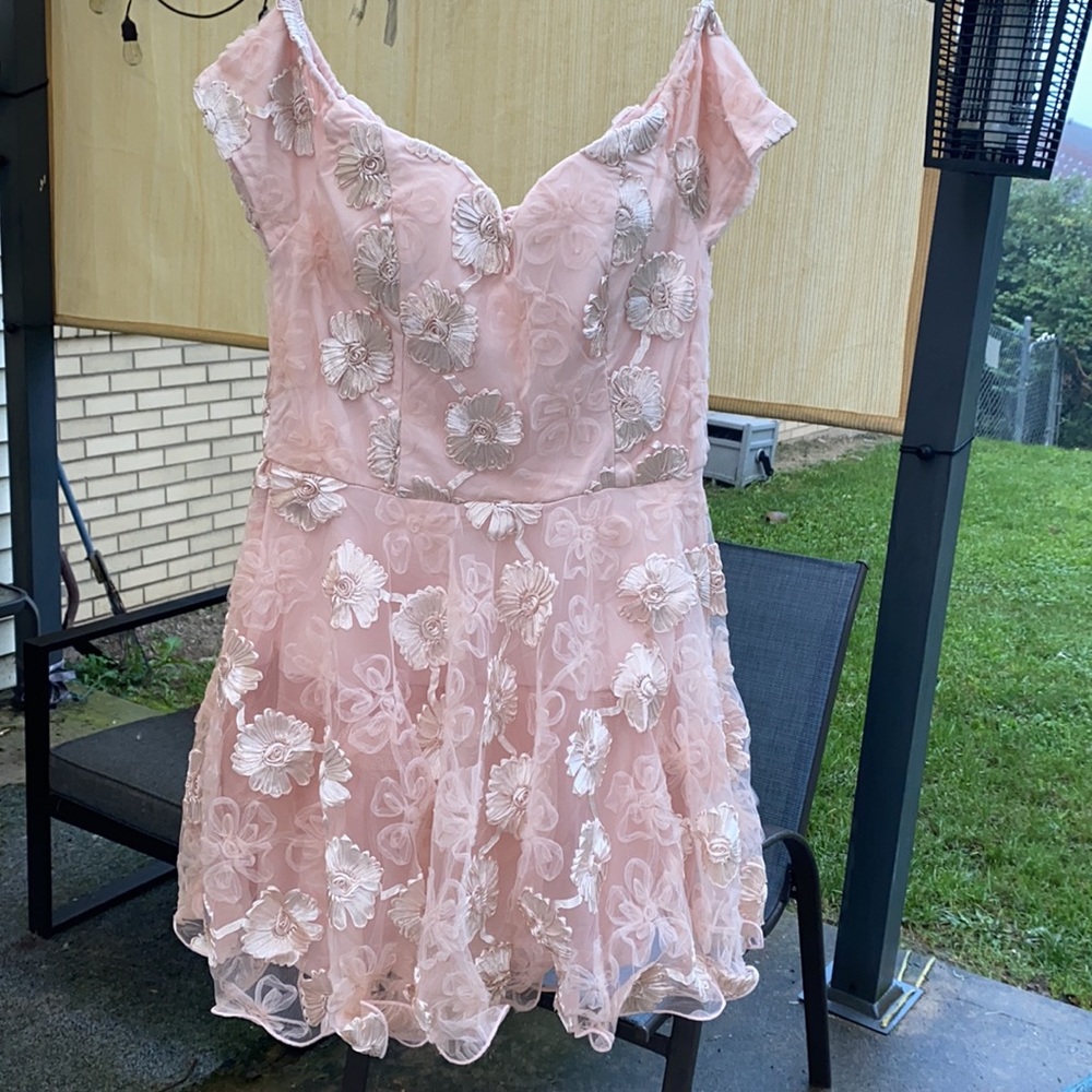 ❌DONATED❌Blush Pink Sweetheart Neckline Floral Mesh Overlay Lined Dress - Picture 6 of 16